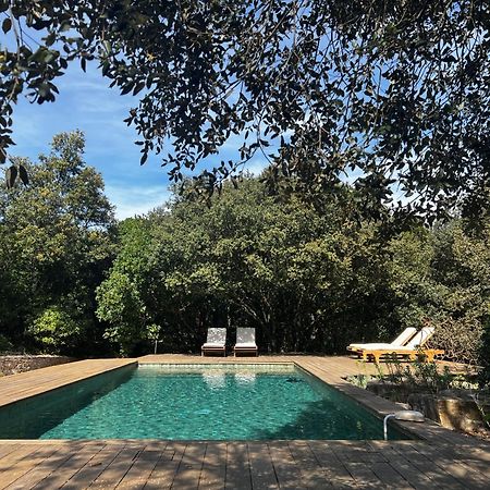 La Canopee Private Ecolodges 尼姆 外观 照片