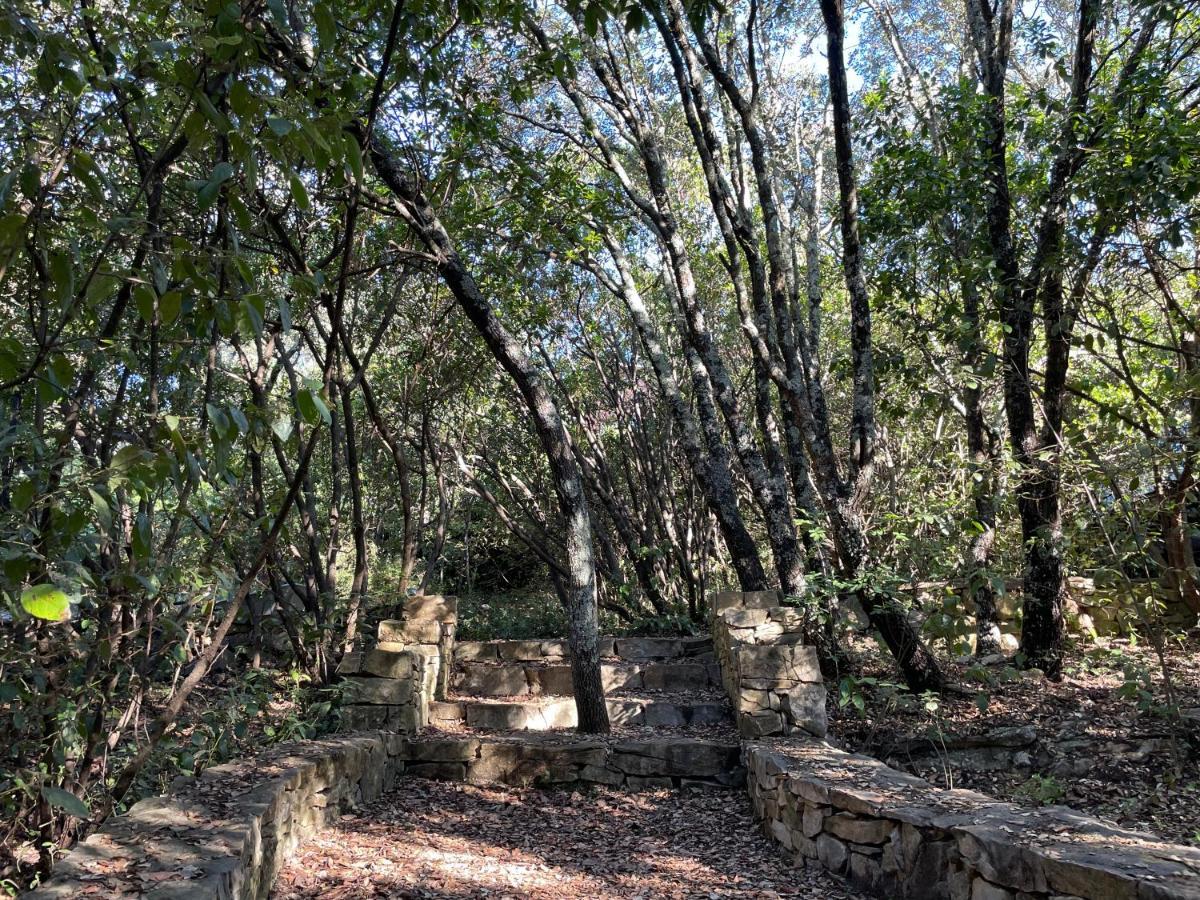 La Canopee Private Ecolodges 尼姆 外观 照片