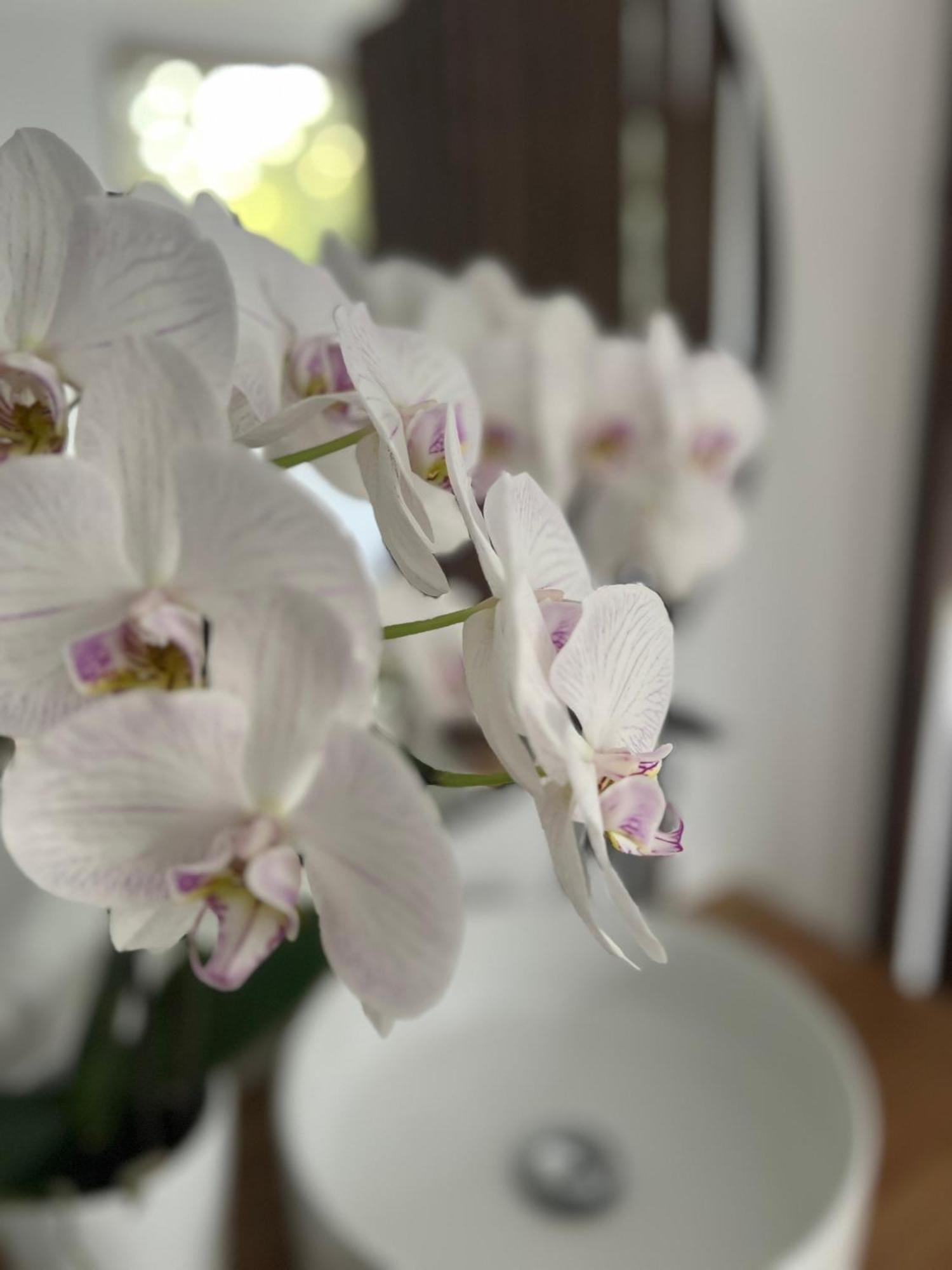 La Canopee Private Ecolodges 尼姆 外观 照片